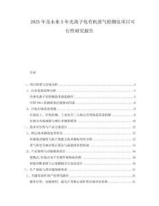 2025年及未來5年光離子化有機(jī)蒸氣檢測儀項(xiàng)目可行性研究報(bào)告