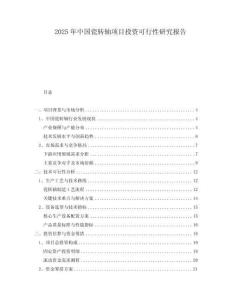 2025年中國瓷轉(zhuǎn)軸項目投資可行性研究報告