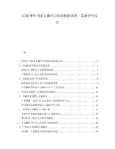 2025年中國多頭螺絲刀市場數(shù)據(jù)調(diào)查、監(jiān)測研究報告