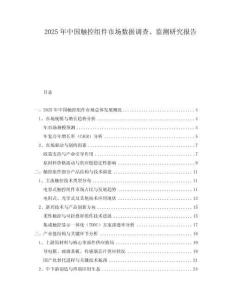 2025年中國(guó)觸控組件市場(chǎng)數(shù)據(jù)調(diào)查、監(jiān)測(cè)研究報(bào)告