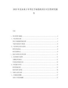 2025年及未來5年單打手成卷機項目可行性研究報告