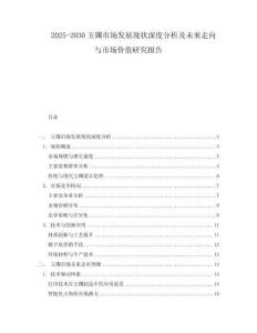 2025-2030玉鐲市場發展現狀深度分析及未來走向與市場價值研究報告