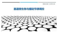 腸道微生物與蠕動節律調控-洞察與解讀