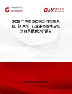 2025年中國姿態(tài)確定與控制系統(tǒng)（ADCS）行業(yè)市場規(guī)模及投資前景預(yù)測分析報(bào)告