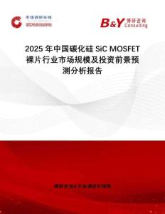 2025年中國碳化硅SiC MOSFET裸片行業(yè)市場規(guī)模及投資前景預(yù)測分析報(bào)告