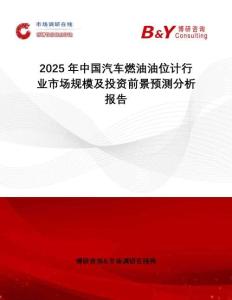 2025年中國汽車燃油油位計行業(yè)市場規(guī)模及投資前景預測分析報告