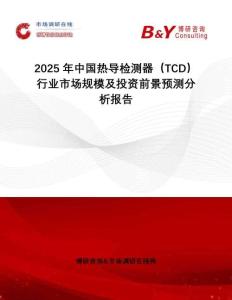 2025年中國熱導檢測器（TCD）行業(yè)市場規(guī)模及投資前景預(yù)測分析報告