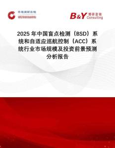 2025年中國盲點檢測（BSD）系統和自適應巡航控制（ACC）系統行業市場規模及投資前景預測分析報告