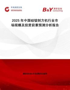 2025年中國硅錠剖方機行業(yè)市場規(guī)模及投資前景預測分析報告