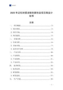 2025年記憶材質涼鞋創新創業項目商業計劃書