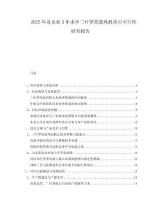 2025年及未來5年水中三葉羅茨鼓風(fēng)機項目可行性研究報告