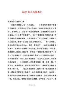 2025年小白兔作文