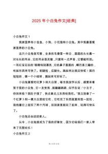 2025年小白兔作文[經(jīng)典]