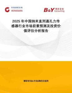 2025年中國納米直列通孔力傳感器行業(yè)市場前景預測及投資價值評估分析報告