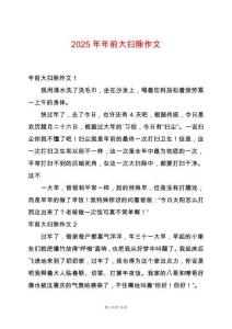 2025年年前大掃除作文