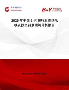 2025年中國2-丙胺行業(yè)市場規(guī)模及投資前景預(yù)測分析報告