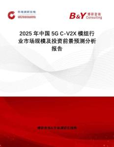 2025年中國5G C-V2X模組行業(yè)市場規(guī)模及投資前景預(yù)測分析報告