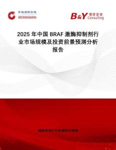 2025年中國BRAF激酶抑制劑行業市場規模及投資前景預測分析報告