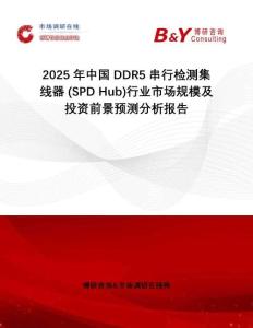 2025年中國DDR5串行檢測集線器 (SPD Hub)行業(yè)市場規(guī)模及投資前景預(yù)測分析報告