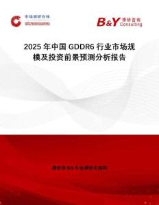 2025年中國GDDR6行業市場規模及投資前景預測分析報告