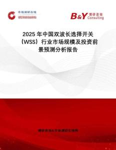2025年中國雙波長選擇開關(guān)（WSS）行業(yè)市場規(guī)模及投資前景預測分析報告