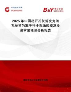 2025年中國將開孔長笛變?yōu)殚]孔長笛的塞子行業(yè)市場規(guī)模及投資前景預(yù)測分析報告