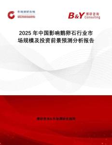 2025年中国影响鹅卵石行业市场规模及投资前景预测分析报告