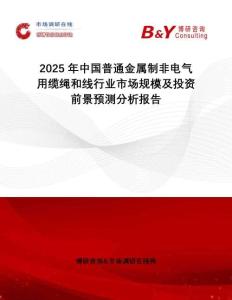 2025年中國普通金屬制非電氣用纜繩和線行業(yè)市場規(guī)模及投資前景預(yù)測分析報告