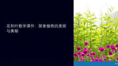 花和叶教学课件