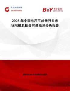 2025年中國電壓互成器行業(yè)市場規(guī)模及投資前景預測分析報告