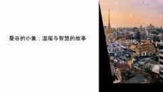 曼谷的小象教學(xué)課件