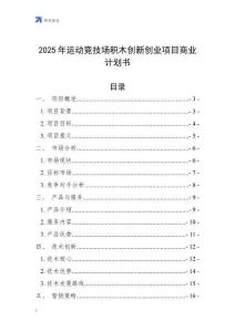 2025年運動競技場積木創(chuàng)新創(chuàng)業(yè)項目商業(yè)計劃書
