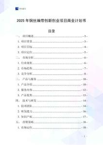 2025年銅絲編帶創新創業項目商業計劃書