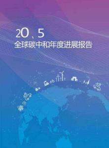 2025全球碳中和年度進展報告-清華大學(xué)
