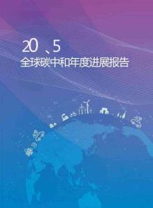 2025全球碳中和年度進展報告-清華大學(xué)