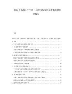 2025及未來(lái)5年中國(guó)馬碲銼市場(chǎng)分析及數(shù)據(jù)監(jiān)測(cè)研究報(bào)告