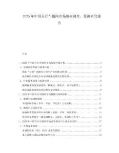 2025年中國自行車抱閘市場數(shù)據(jù)調(diào)查、監(jiān)測研究報(bào)告