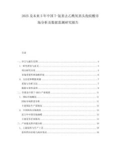 2025及未來(lái)5年中國(guó)7-氨基去乙酰氧基頭孢烷酸市場(chǎng)分析及數(shù)據(jù)監(jiān)測(cè)研究報(bào)告