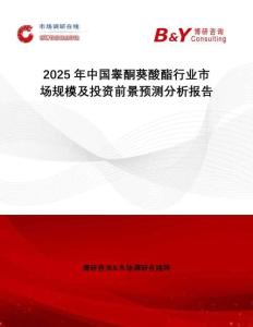 2025年中國睪酮葵酸酯行業(yè)市場規(guī)模及投資前景預(yù)測分析報(bào)告