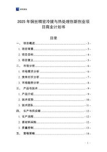 2025年銅絲精密冷拔與熱處理創新創業項目商業計劃書