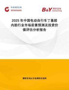 2025年中國(guó)電動(dòng)自行車丁基膠內(nèi)胎行業(yè)市場(chǎng)前景預(yù)測(cè)及投資價(jià)值評(píng)估分析報(bào)告