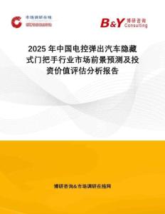 2025年中國電控彈出汽車隱藏式門把手行業(yè)市場前景預(yù)測及投資價值評估分析報告