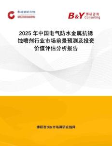 2025年中國電氣防水金屬抗銹蝕噴劑行業(yè)市場前景預(yù)測及投資價值評估分析報告