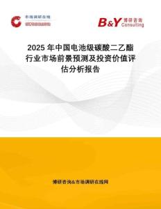 2025年中國電池級碳酸二乙酯行業市場前景預測及投資價值評估分析報告