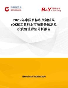2025年中國目標(biāo)和關(guān)鍵結(jié)果(OKR)工具行業(yè)市場前景預(yù)測及投資價值評估分析報告