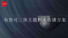 布魯可三體主題積木傳播方案