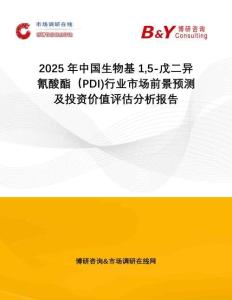 2025年中國生物基15-戊二異氰酸酯（PDI)行業(yè)市場前景預(yù)測及投資價值評估分析報告