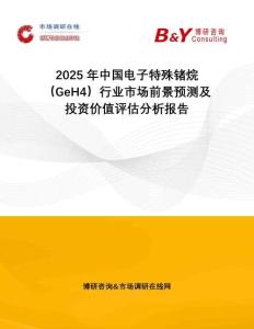 2025年中國電子特殊鍺烷（GeH4）行業(yè)市場前景預測及投資價值評估分析報告