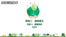 《森林營造技術(shù)》課件   項(xiàng)目二任務(wù) 4　植苗造林
