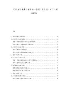 2025年及未來(lái)5年木柄一字螺釘旋具項(xiàng)目可行性研究報(bào)告